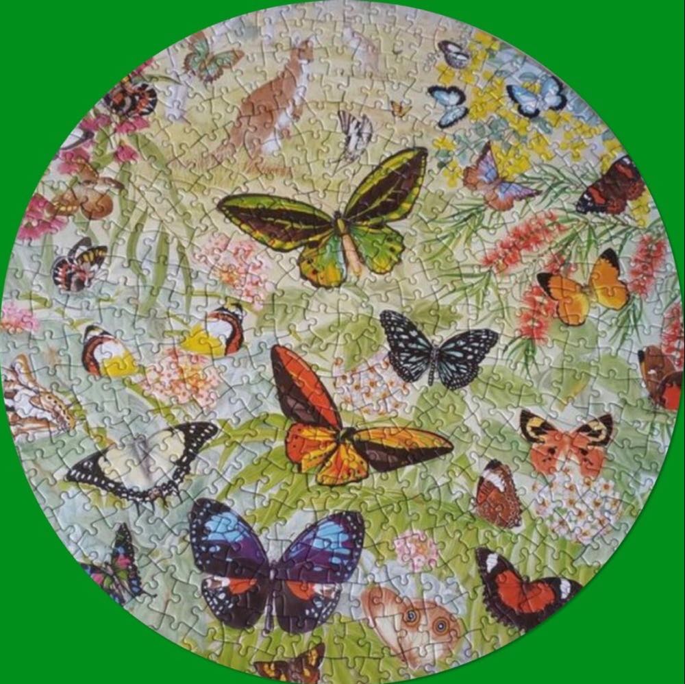 Butterflies Of Australasia 🔴 - James Hamilton puzzle collectible [Barcode 5014519050093] - Main Image 3