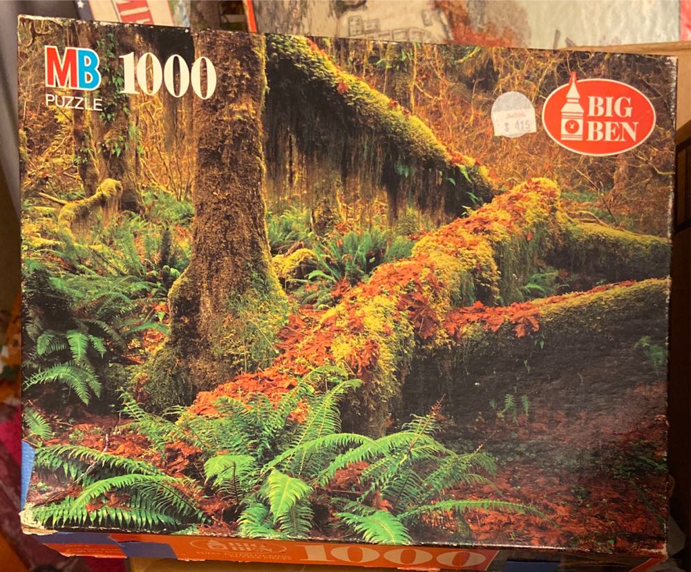 Holiday Resort 1: The Campsite