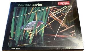 DuckTales - A Special Find