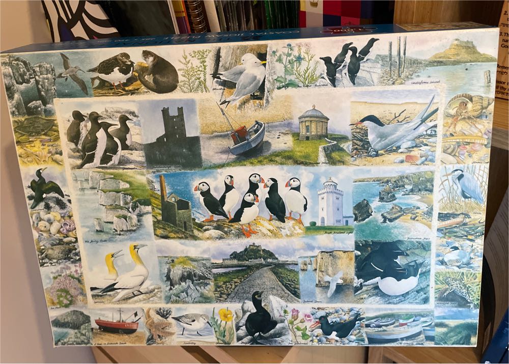 Birds From Around the World