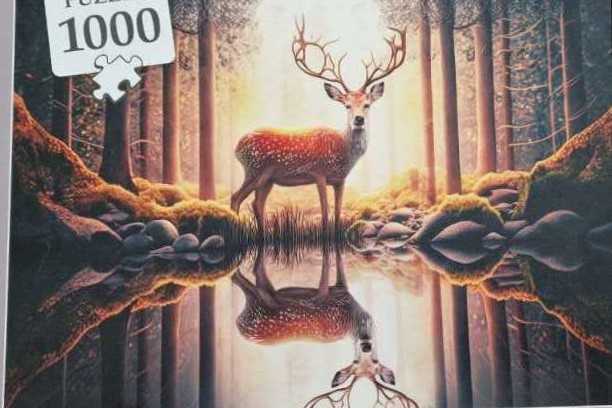 Clementoni Legpuzzel Stukjes Neuschwanstein