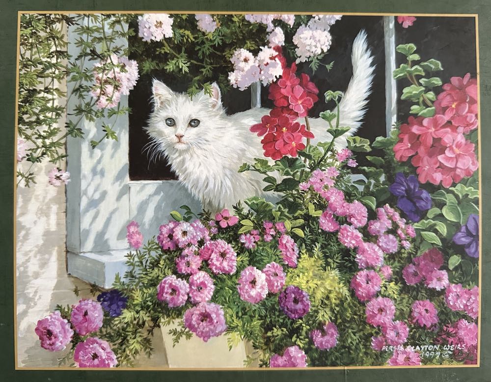 Japanese Garden In Bloom