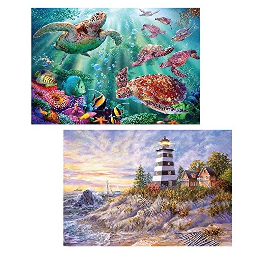 Curiosi - Picoli „Point“