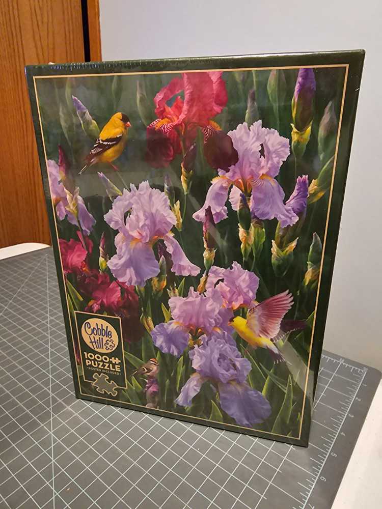 Cotton Lion - Little Witch Cat