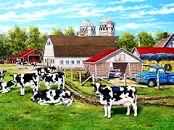 Birdhouse Collection