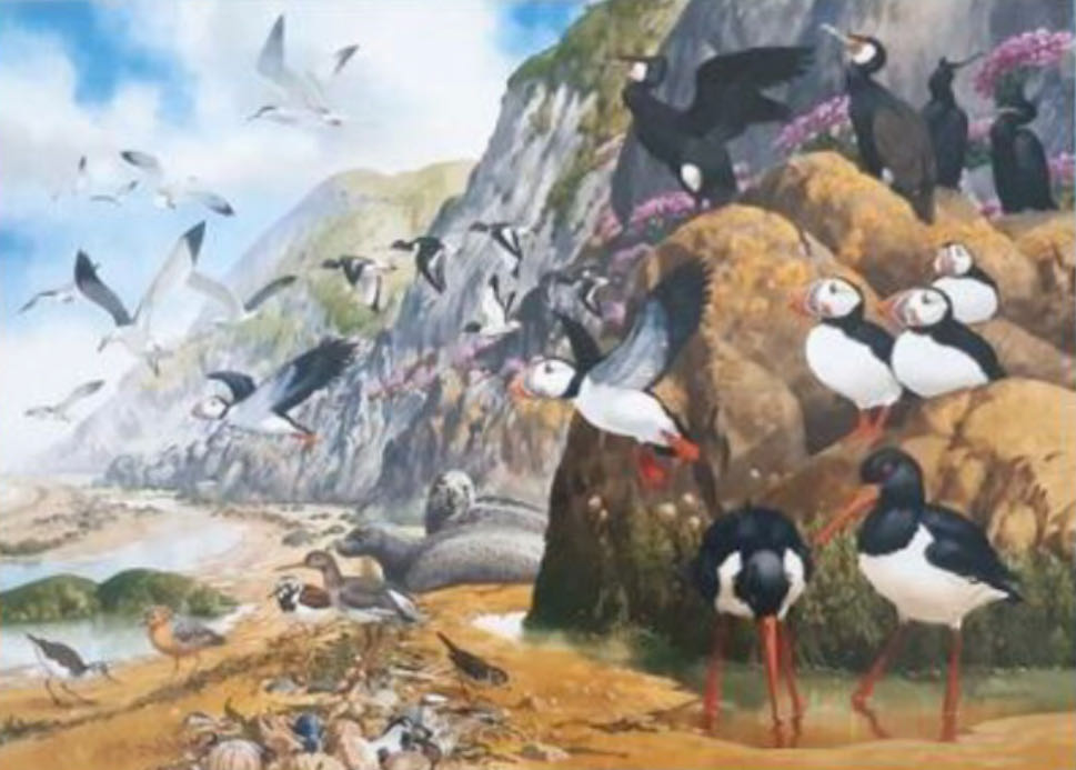 Coastal Creatures Scannen  puzzle collectible - Main Image 2