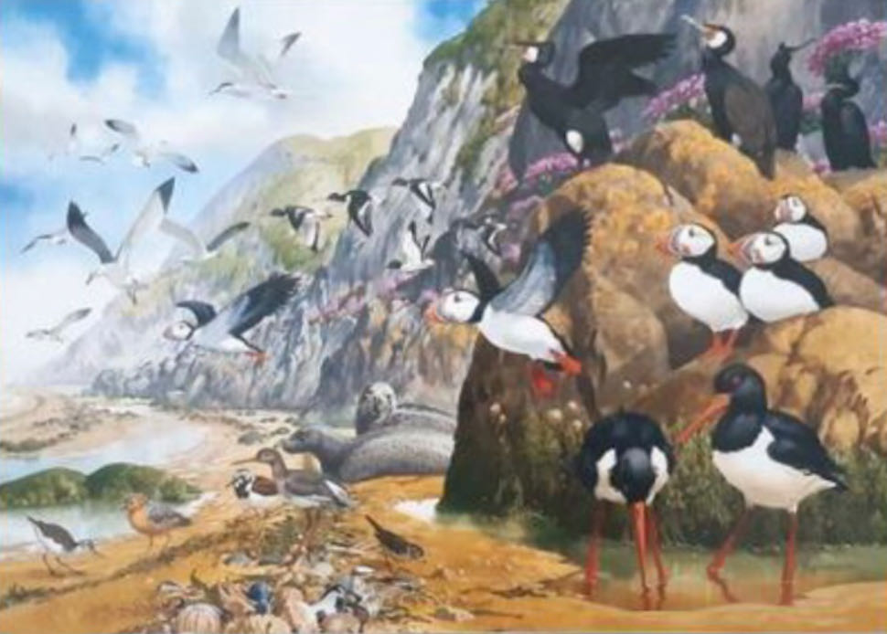 Coastal Creatures 🐦 - Gibsons puzzle collectible [Barcode 5012269060119] - Main Image 2