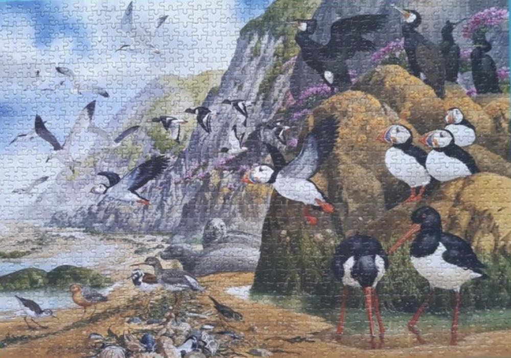 Coastal Creatures 🐦 - Gibsons puzzle collectible [Barcode 5012269060119] - Main Image 3