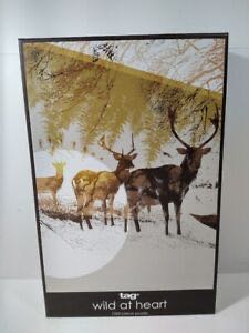 Astronomical Clock In Prague/Zodiac Northern Sky