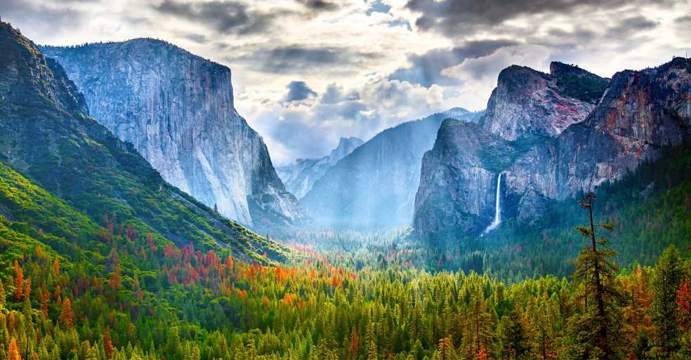 Curiosi - Picoli „Schlingel“