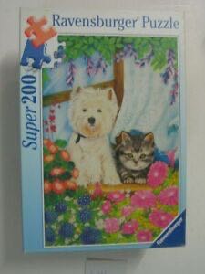 Springbok—Majestic Mountain