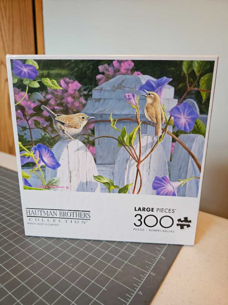 Villainous Star Wars: Asajj Ventress