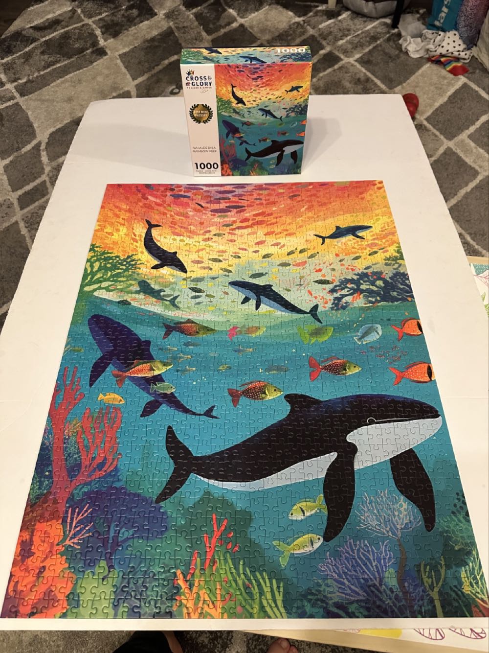 Curiosi - Picoli „Lolly“