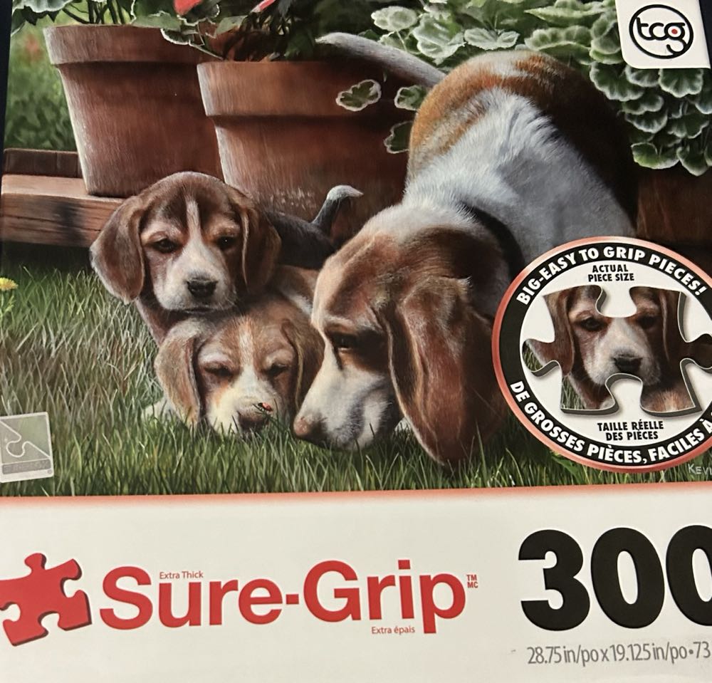 San Francisco 49ers Locker Room