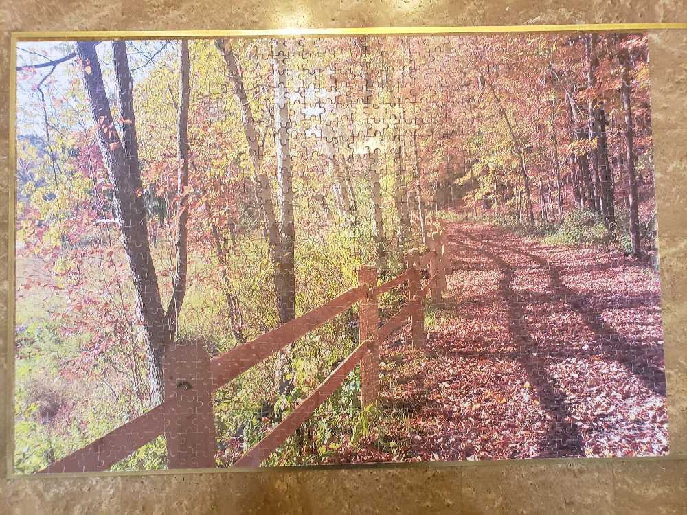 Chinstrap Penguin Colony 