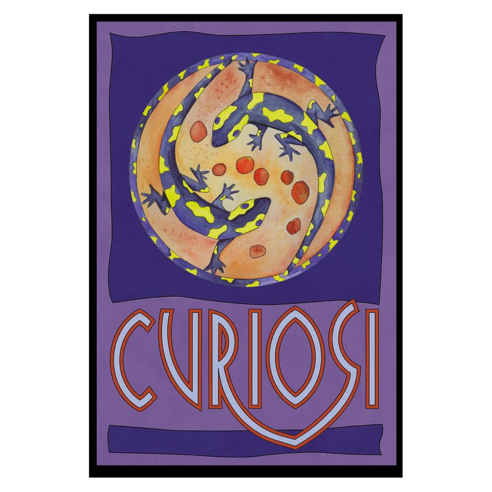 Curiosi - Picoli „Salamander“ - Curiosi puzzle collectible [Barcode 4260089025264] - Main Image 2