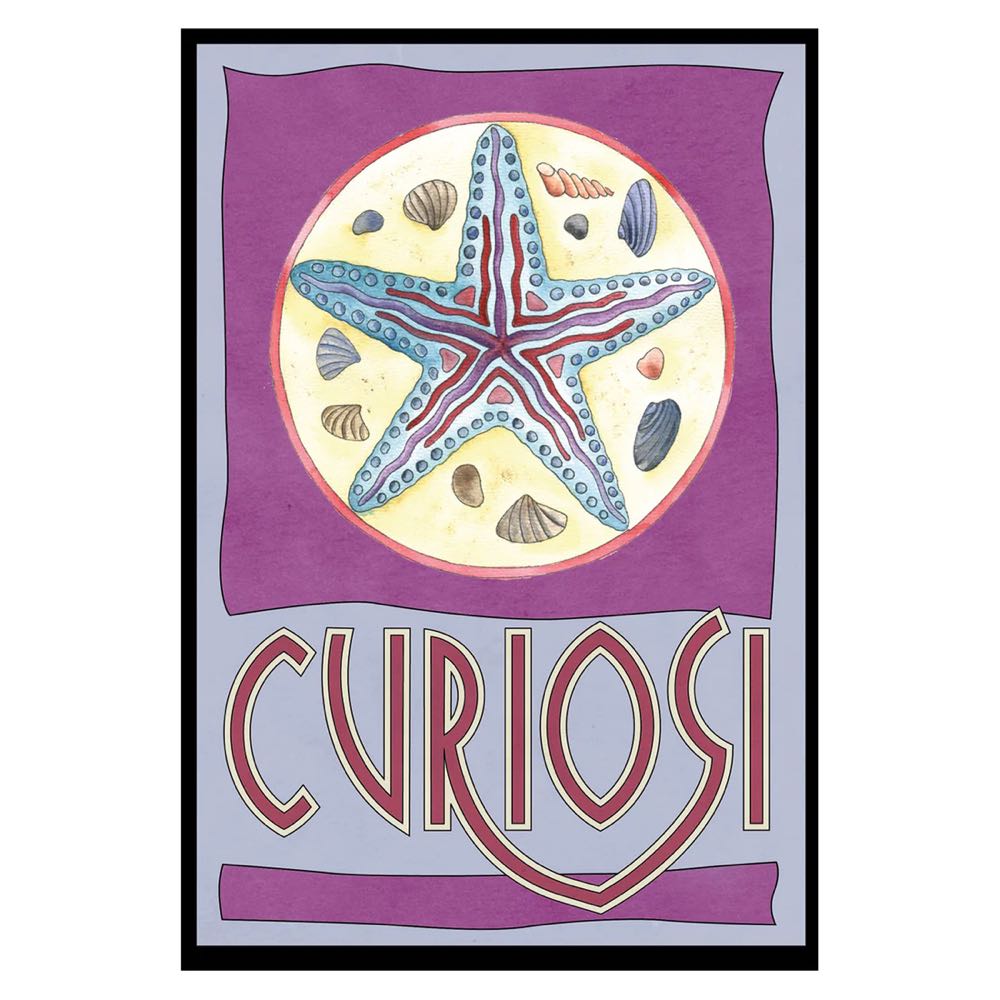 Curiosi - Picoli „Seestern“ - Curiosi puzzle collectible [Barcode 4260089025189] - Main Image 2