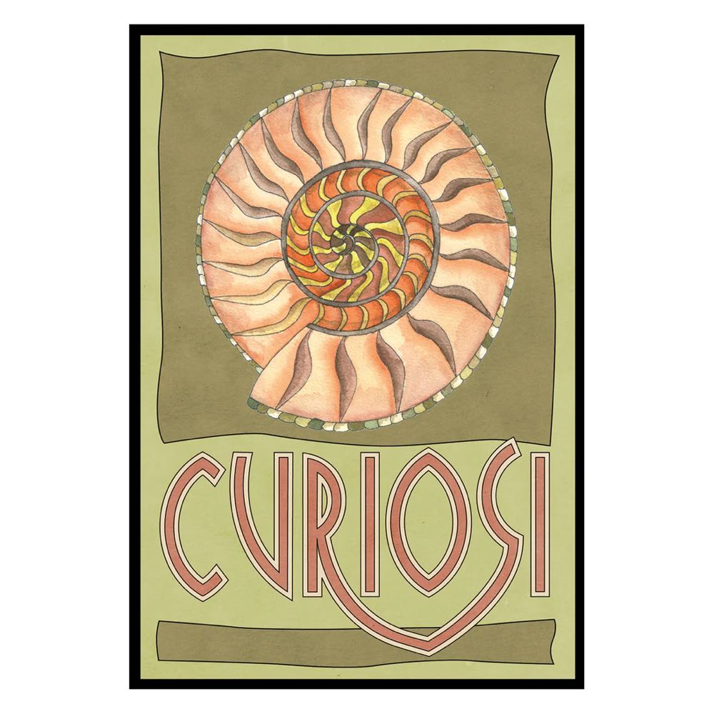 Curiosi - Picoli „Schnecke“ - Curiosi puzzle collectible [Barcode 4260089025172] - Main Image 2