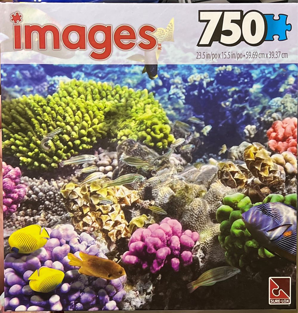 Times Square, Everyone Should Go There