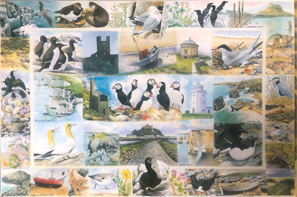 Happy Camper Cactus Camp-Out