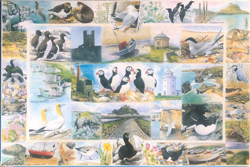 Coastline In Our Care - National Trust puzzle collectible - Main Image 2