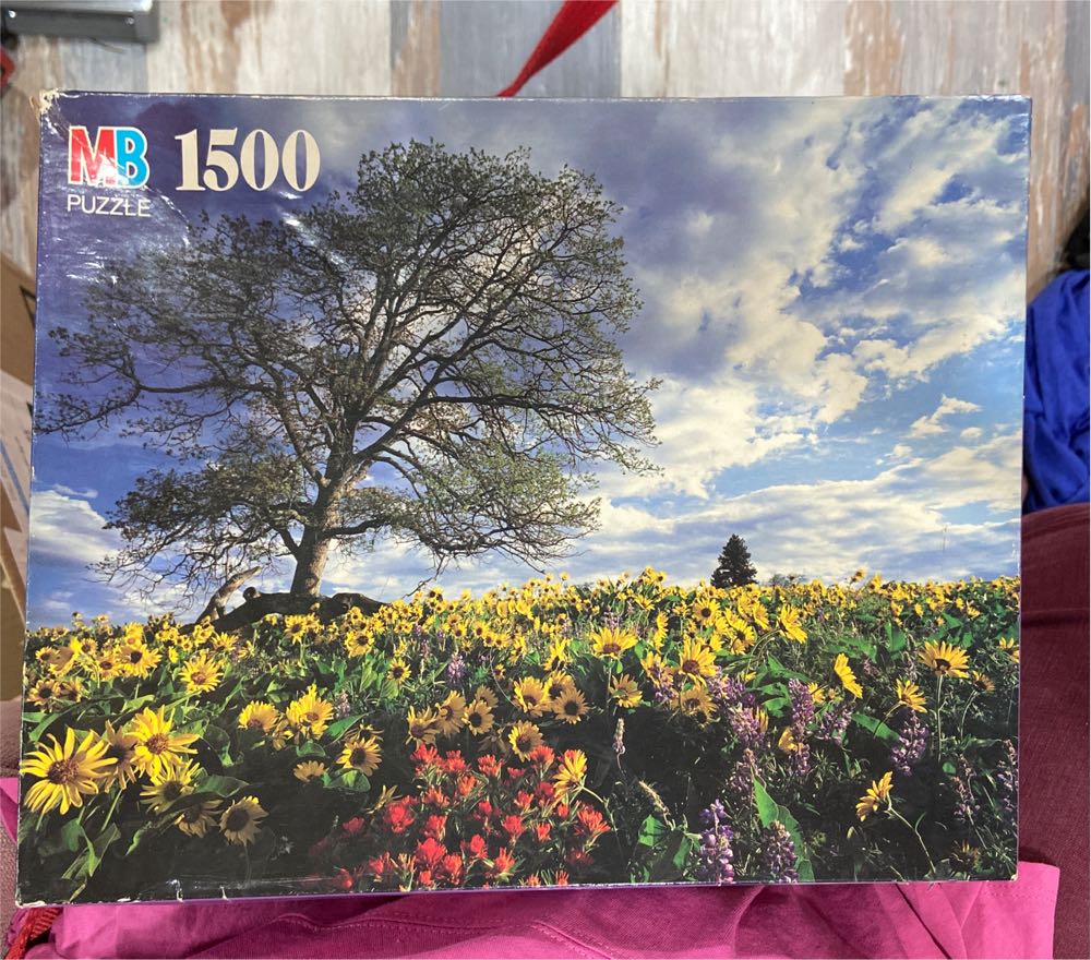 Near Hood Lake Columbia River Gorge, OR - MB Puzzle puzzle collectible [Barcode 032244043352] - Main Image 1
