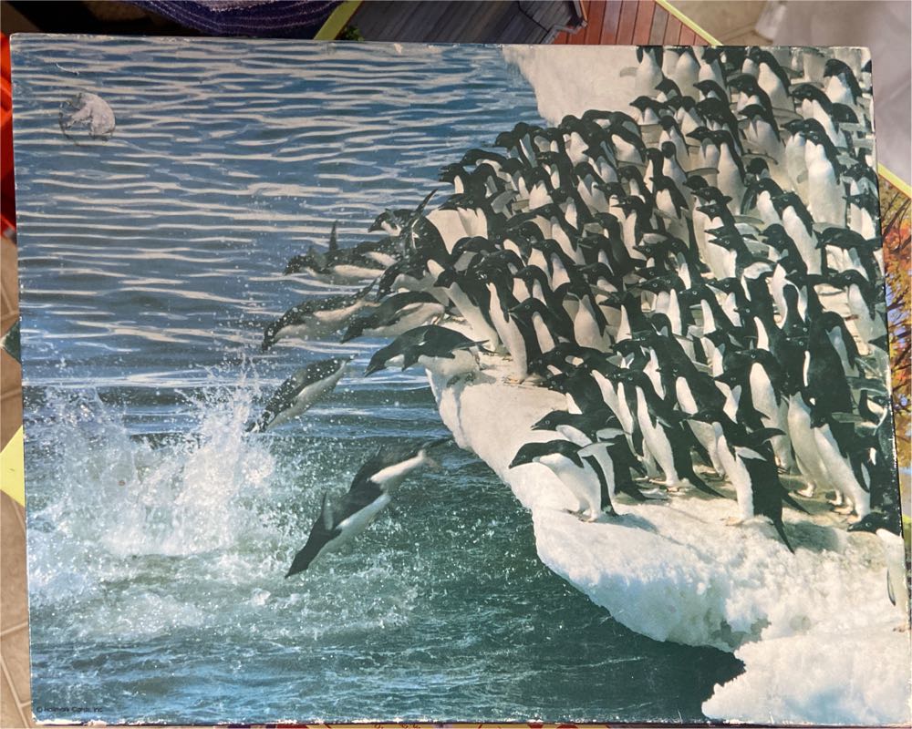 Ye Old Christmas Shoppe