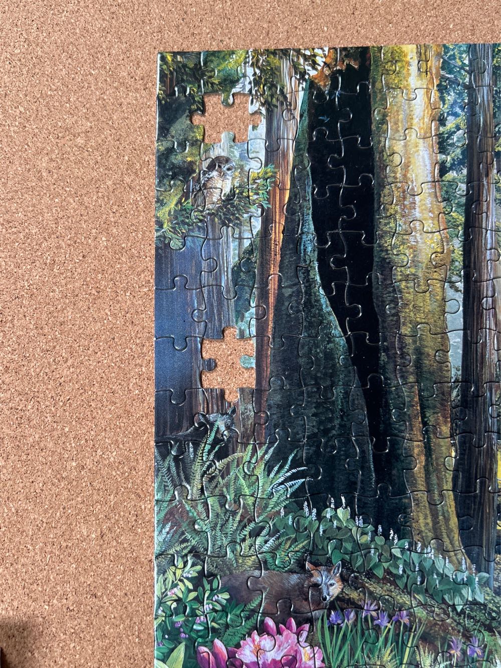 Secrets Of The Old-Growth Forest - Earth-wise Designs puzzle collectible [Barcode 045622993231] - Main Image 2