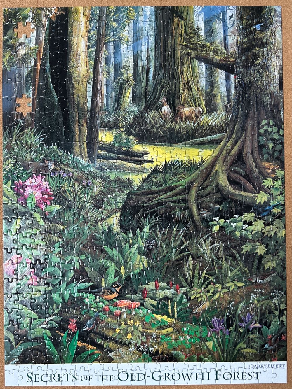 Secrets Of The Old-Growth Forest - Earth-wise Designs puzzle collectible [Barcode 045622993231] - Main Image 3