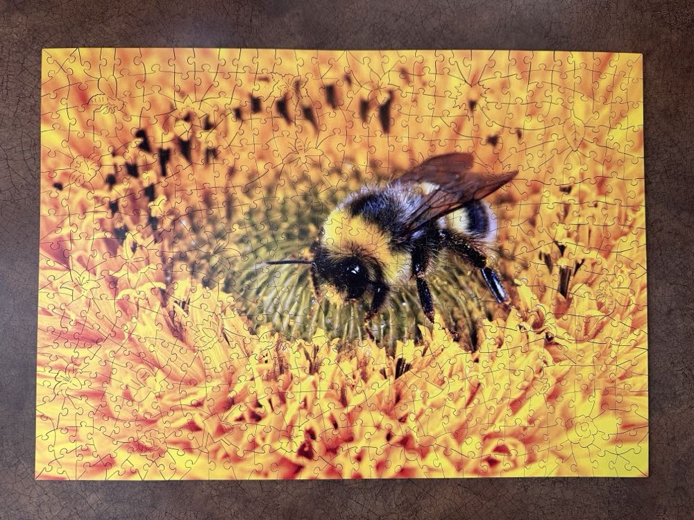 Busily Buzzing Bumblebee (C,S) - Wentworth Wooden Puzzles puzzle collectible [Barcode 6050265366704] - Main Image 2