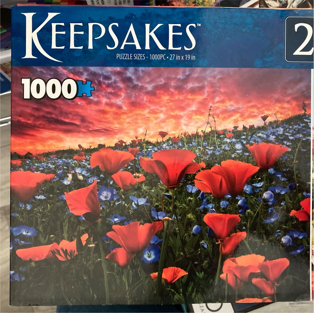 Minicraft 50007 Collection