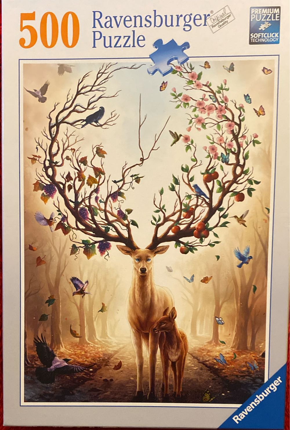 Springbok—Majestic Mountain