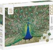 Breakfast Of Champions