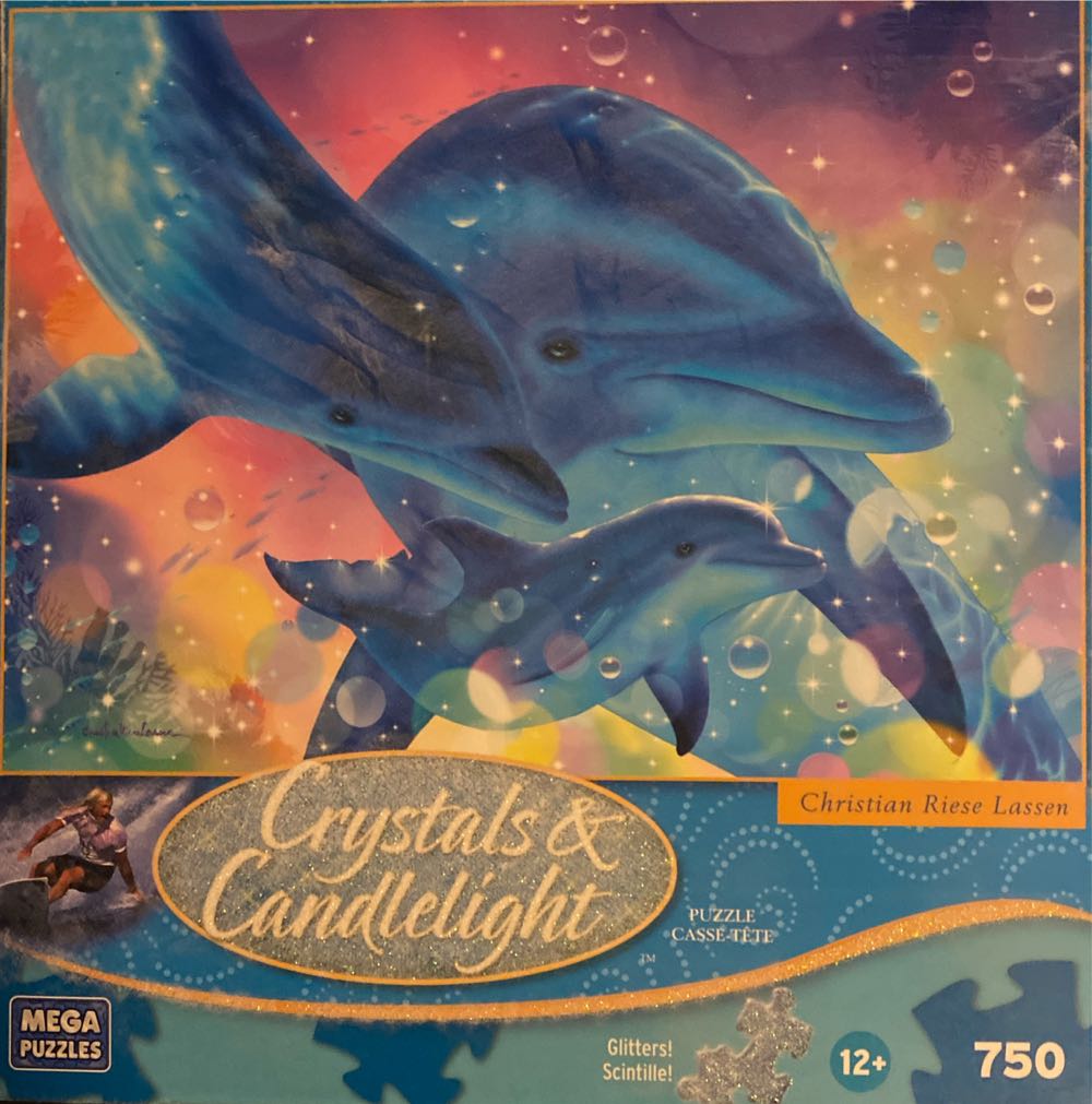 Flower Fairies Friends