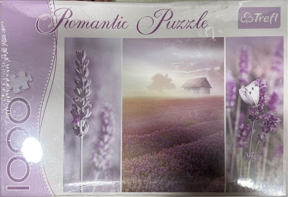 Mystery 9 Train Wasgij?