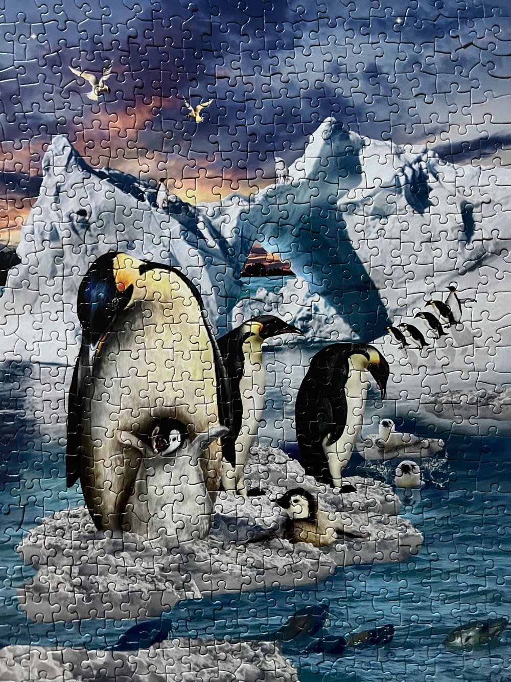 Penguin Colony - SunsOut puzzle collectible [Barcode 796780351493] - Main Image 2
