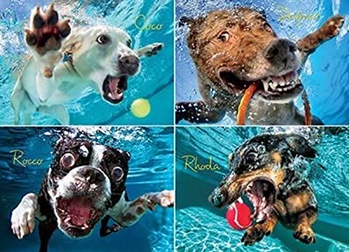 Colorful Gradient Swirl