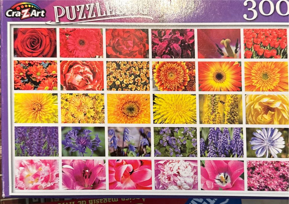 Olga Suvorova: Dancer - L👀k For