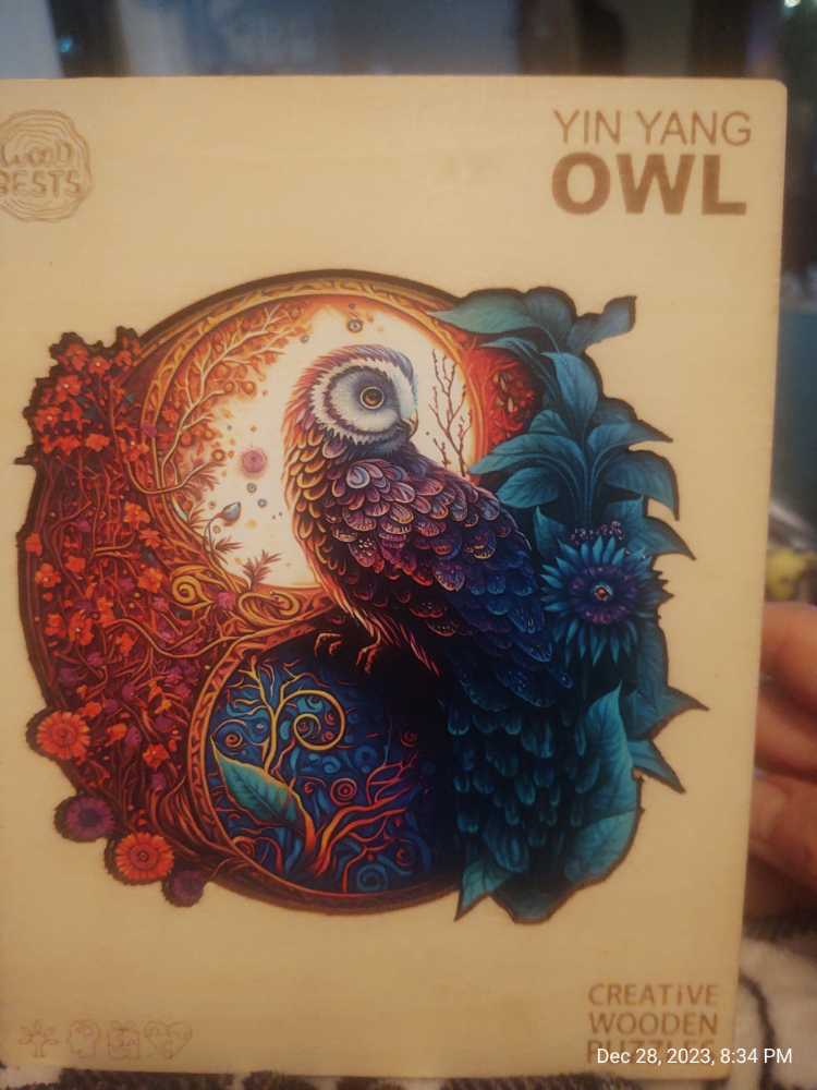 Doppelganger The Evil Within Vhs