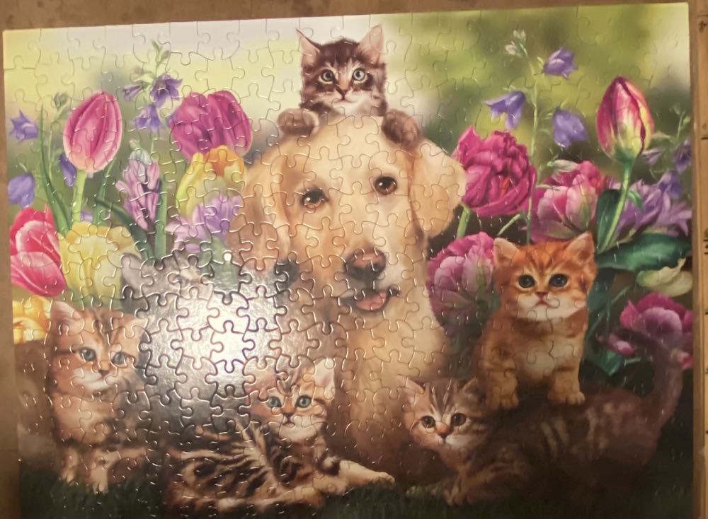 Kitty Sitting - SunsOut puzzle collectible [Barcode 796780289406] - Main Image 3