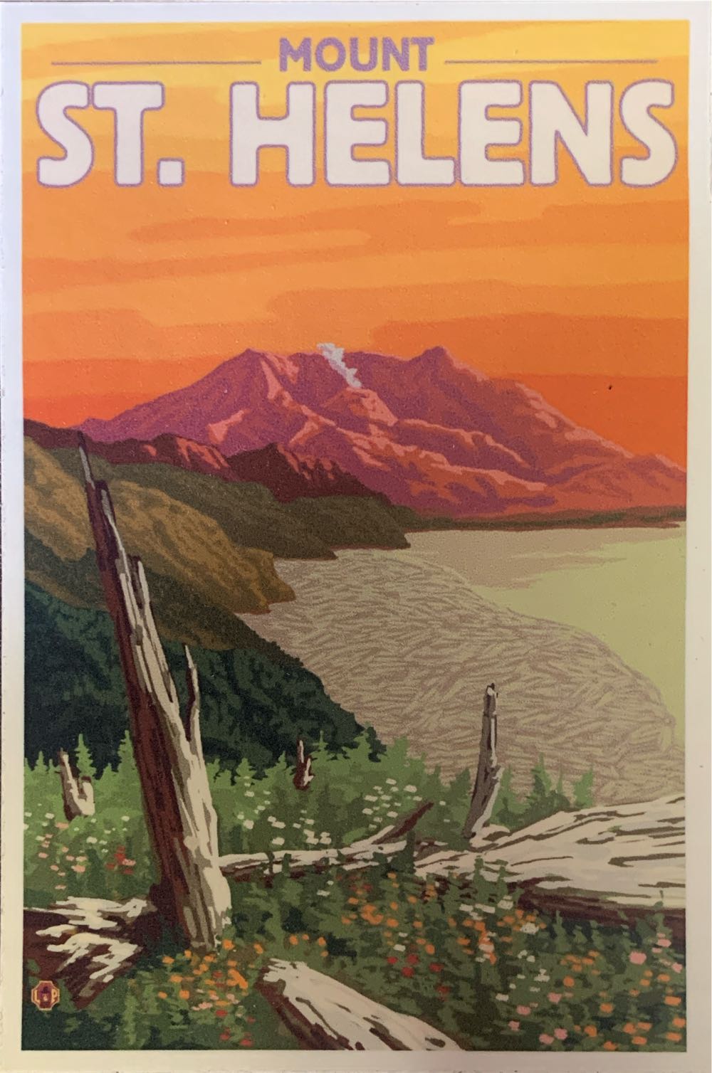 Wild Tiger Eyes Shop Bins