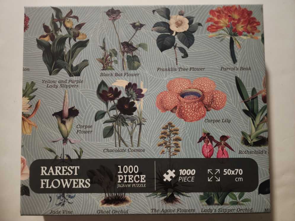 Fantasy Art Of Kazuha Fukami