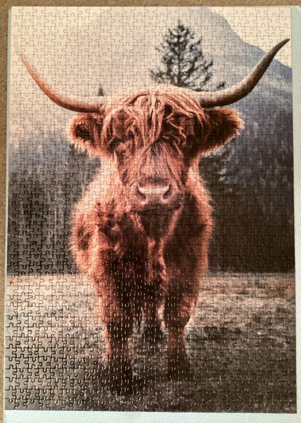 Hochland-Rind vor frostiger Alpenkulisse /+ - Ulmer Puzzleschmiede puzzle collectible [Barcode 4260688390305] - Main Image 2