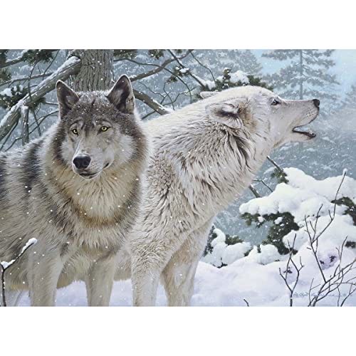 Image 98446