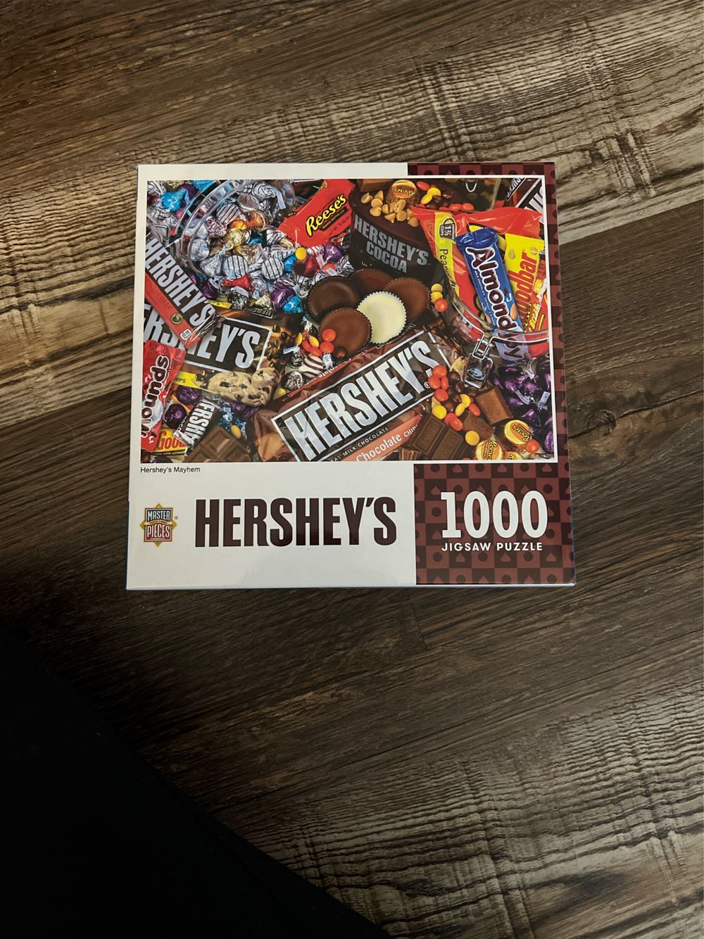 Youthefan Nfl Detroit Lions Game Day In The Dog House 1000pc Puzzle