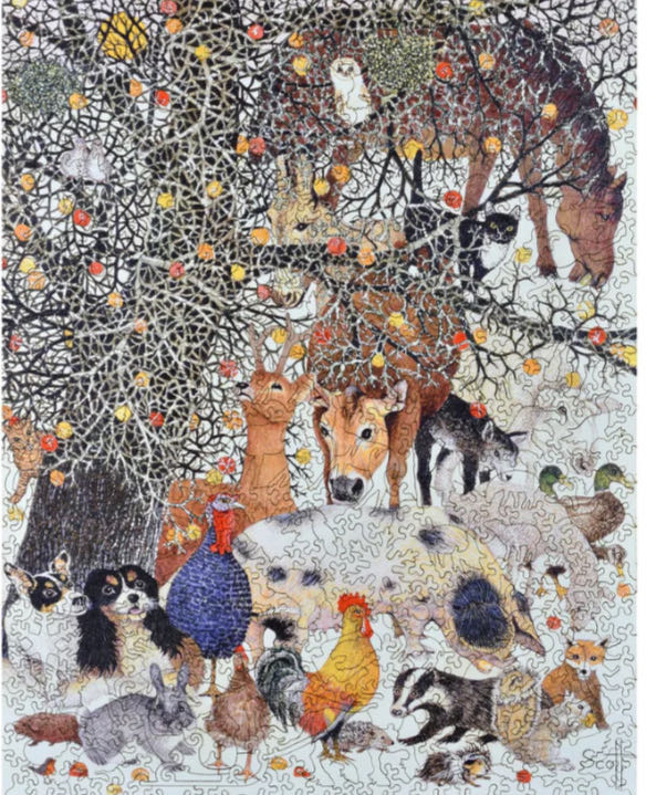 Back To The Past - Family Night Television