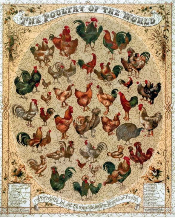 The Poultry Of The World - Liberty Puzzle puzzle collectible - Main Image 1