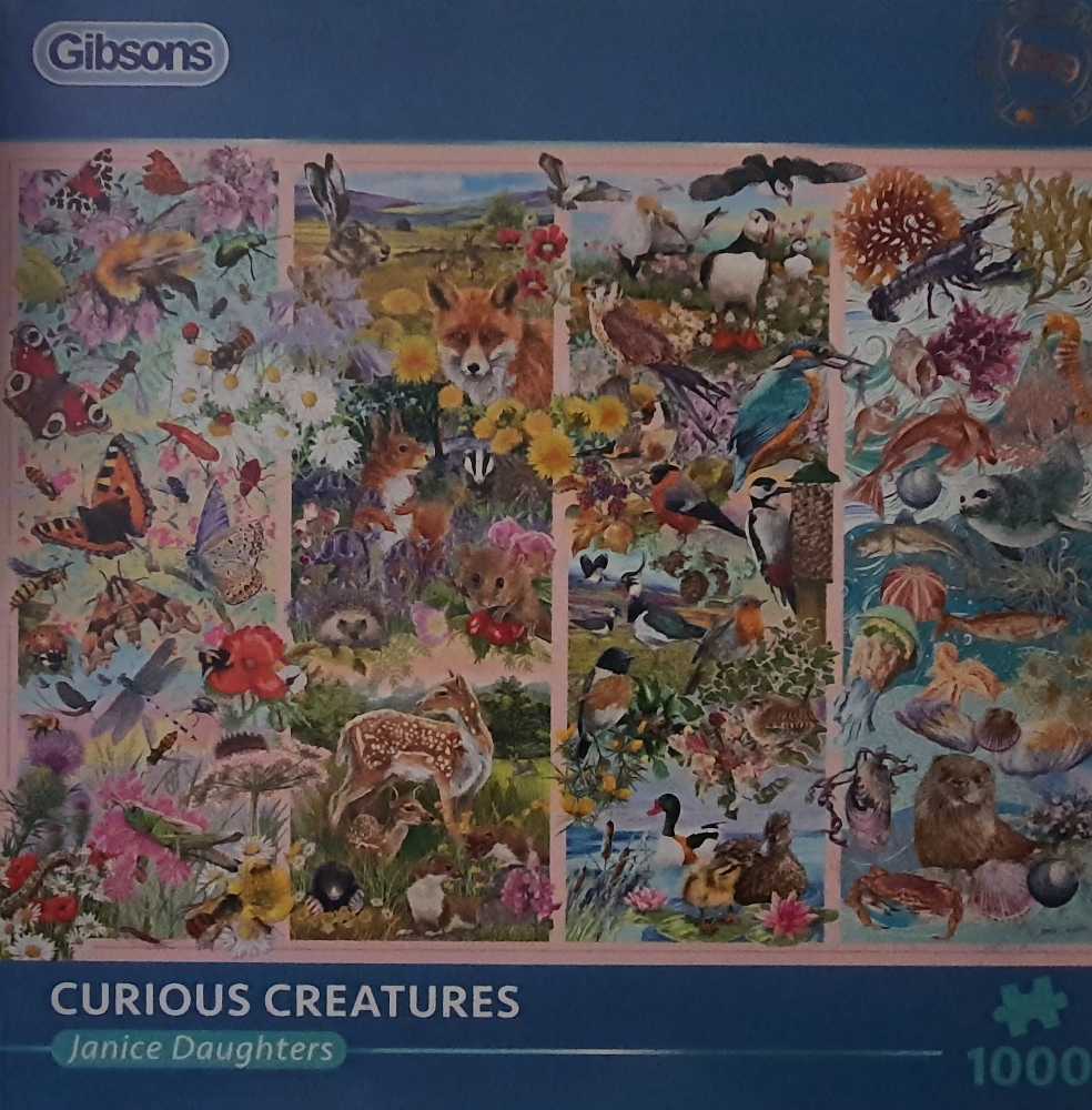 Mindfulness Mountain Forest