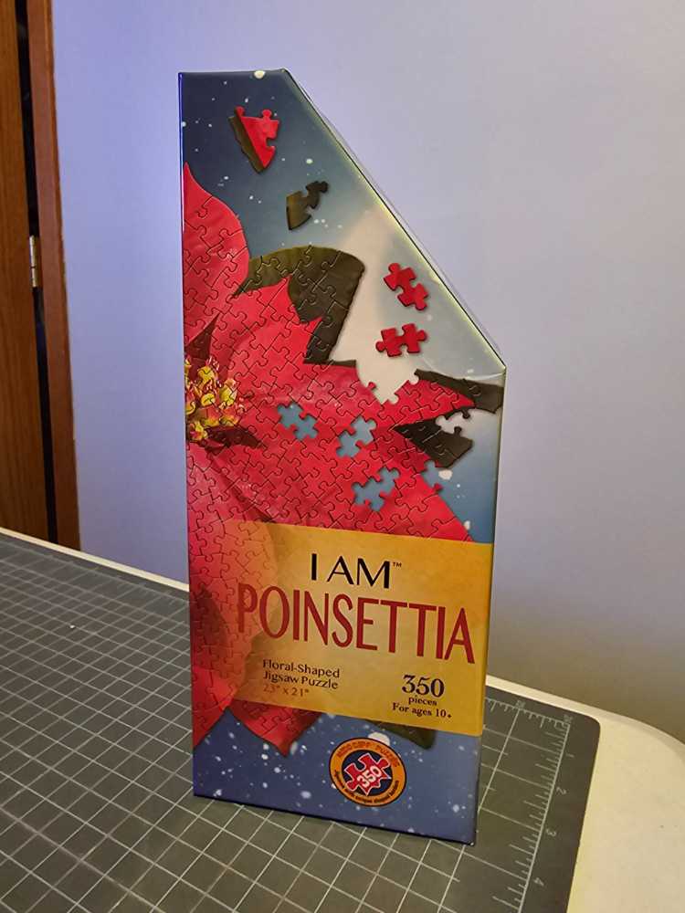 Crazy Shapes - Miami Beach