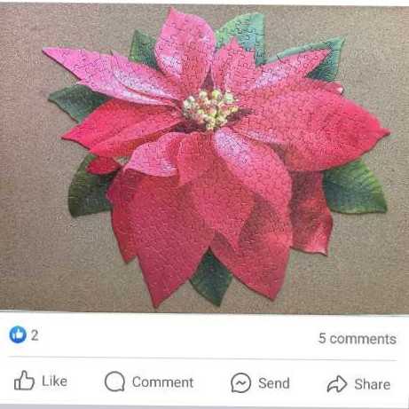 I Am Poinsettia  - Madd Capp puzzle collectible [Barcode 051497318291] - Main Image 2
